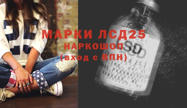 a pvp Магас