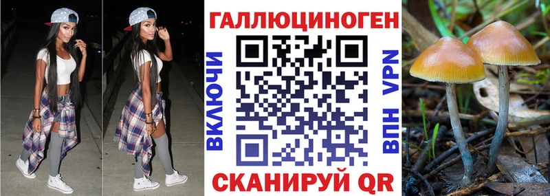 Псилоцибиновые грибы Magic Shrooms  Подольск 