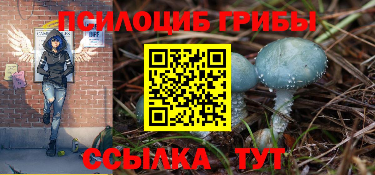 Подольск  купить  сайты  Вход с VPN  Псилоцибиновые грибы мухоморы  Псилоцибиновые грибы прущие грибы 