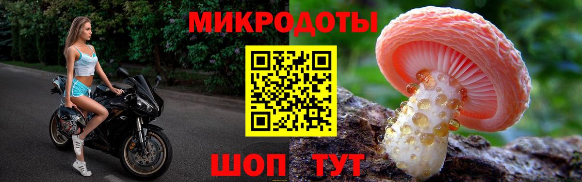 Псилоцибиновые грибы Psilocybe Подольск